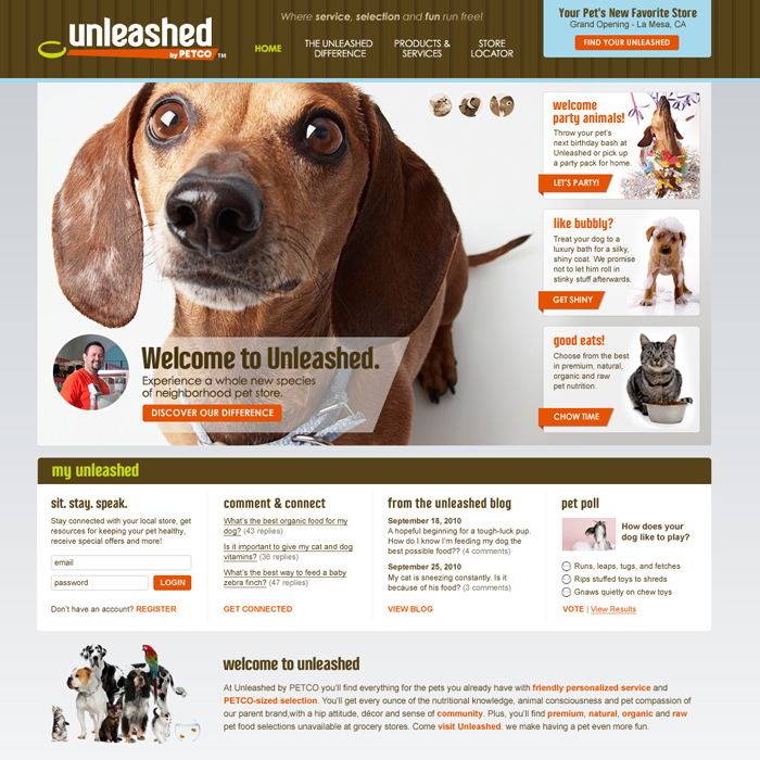 Unleashed Website Redesign